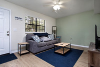 Livingroom1Reduced